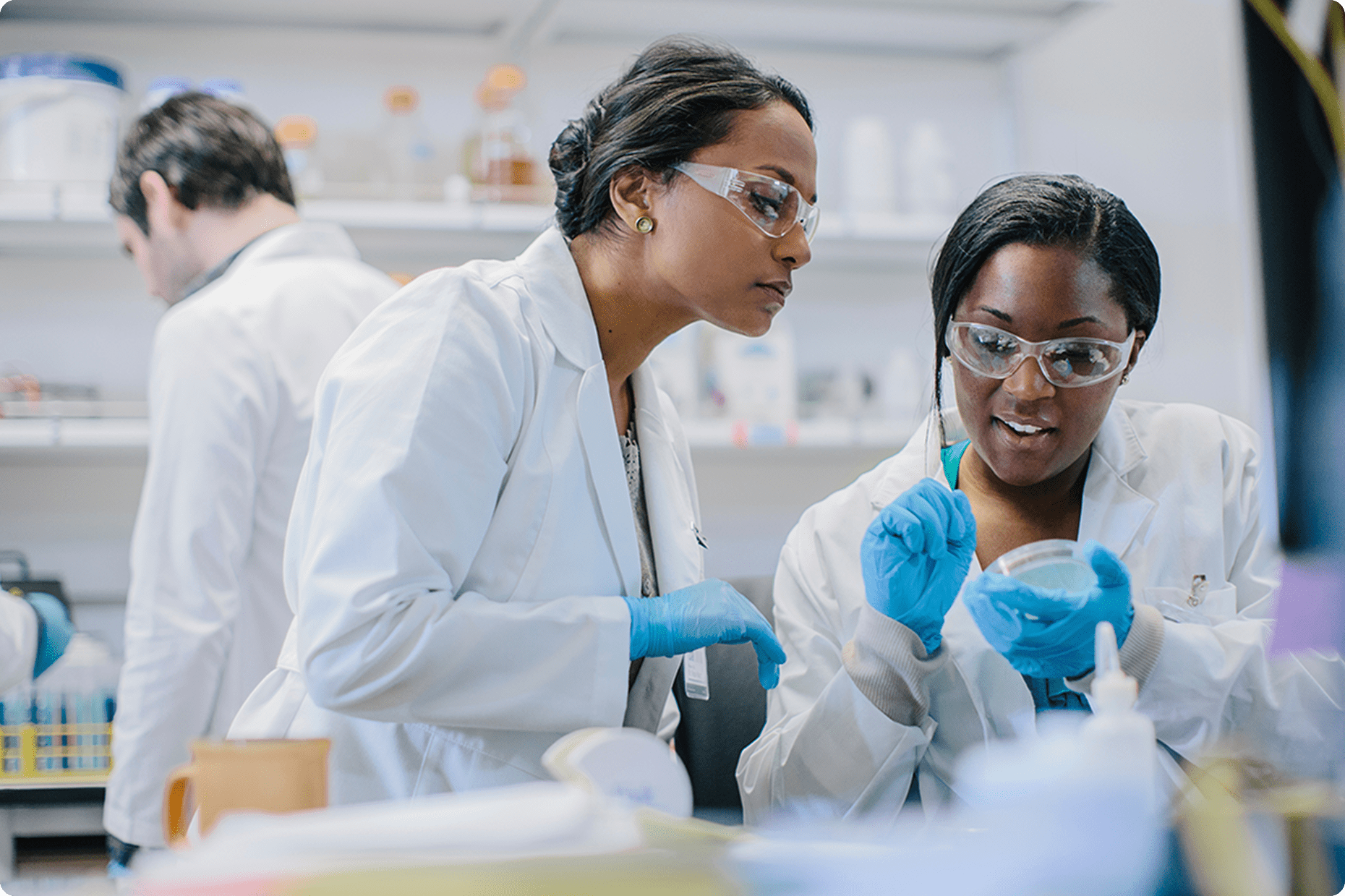 Two female NYU Langone research staff members examine a petri dish as they work together in a laboratory setting.