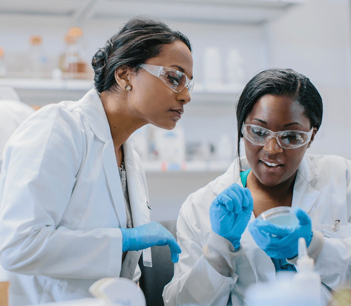 Two female NYU Langone research staff members examine a petri dish as they work together in a laboratory setting.